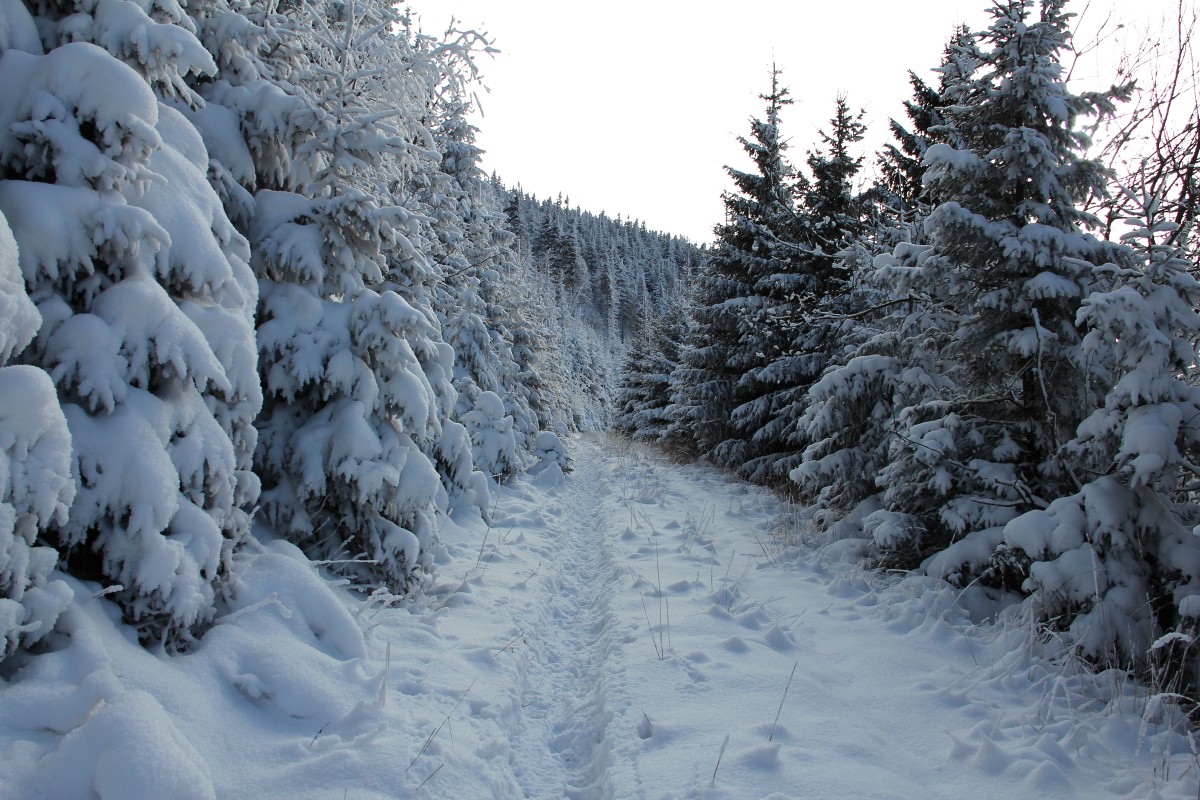 img00070.jpg