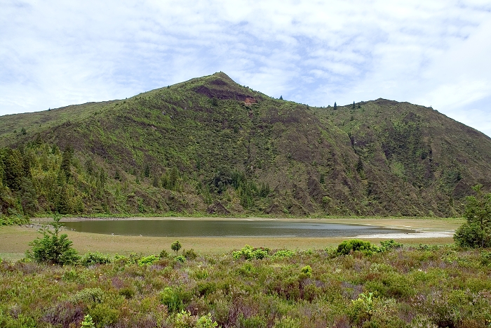 img00092.jpg