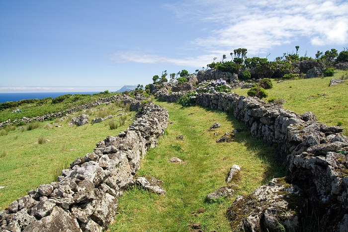 img00227.jpg
