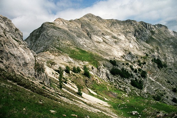 img00026.jpg
