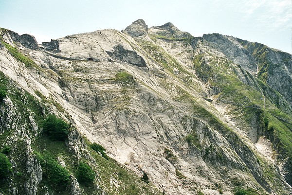 img00031.jpg