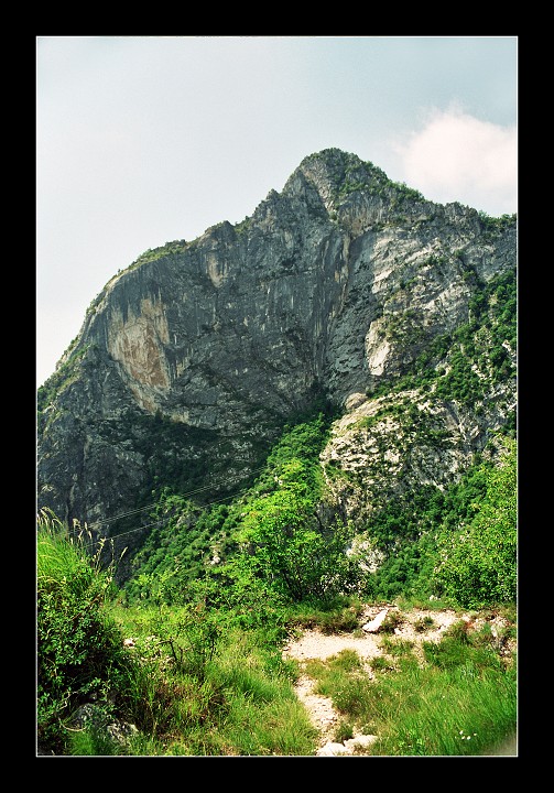 img00028.jpg