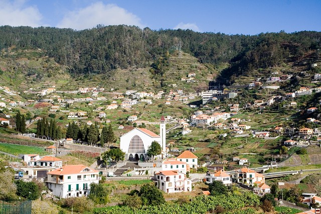 img00196.jpg