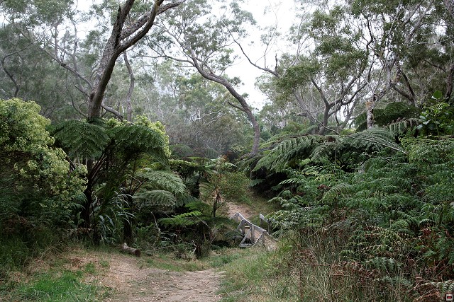 img00020.jpg