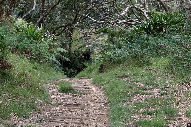 img00022.jpg