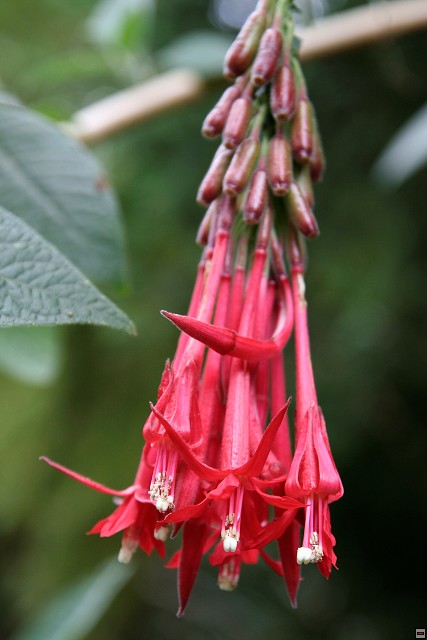 img00023.jpg