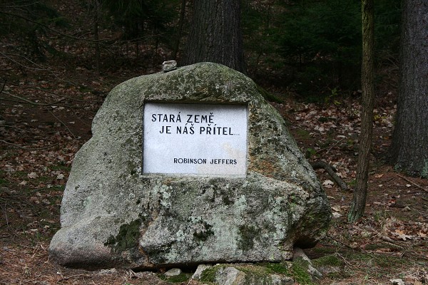 img00019.jpg