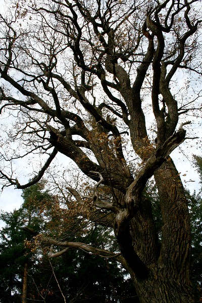 img00031.jpg